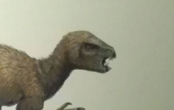 ヘテロドントサウルスの説明
