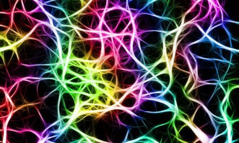 脳のニューロンが七色に描かれている